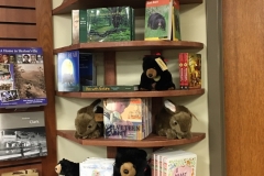 Children Book Shelf