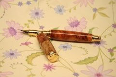 Fountain Pen