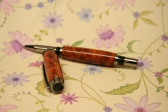 Roller Ball Ink Jell Pen