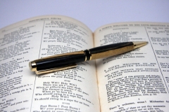 Black & White Ebony Wood Ballpoint Pen