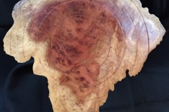 Red Mallee Burl #2