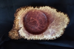 Red Mallee Burl #3